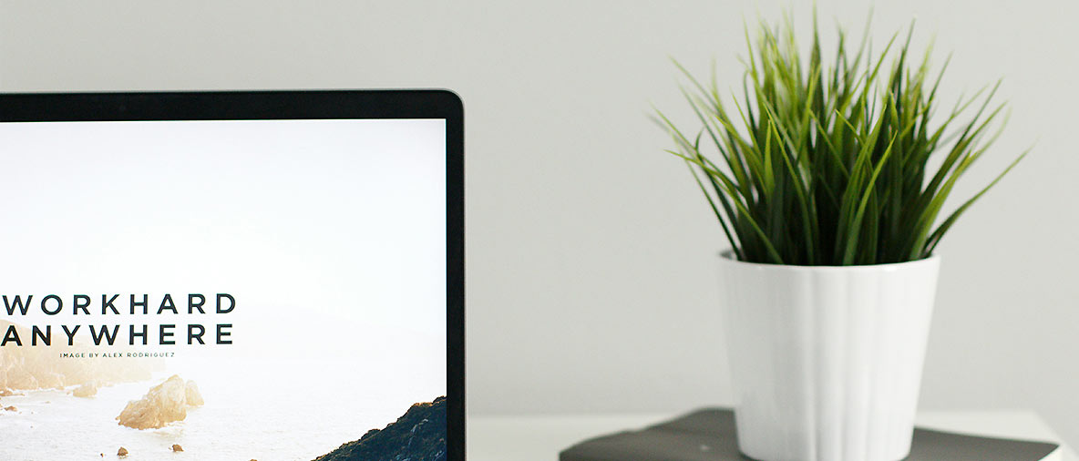 About Avada Minimal Portfolio